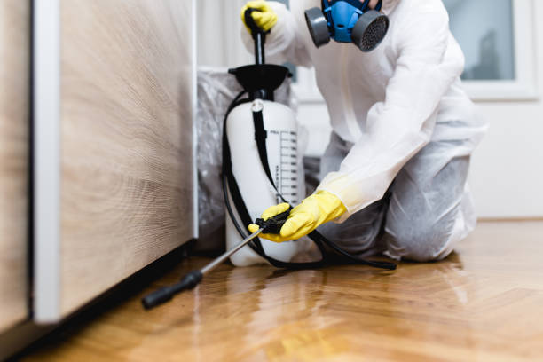 Best Pest Control Near Me  in Lla Lla East, WA