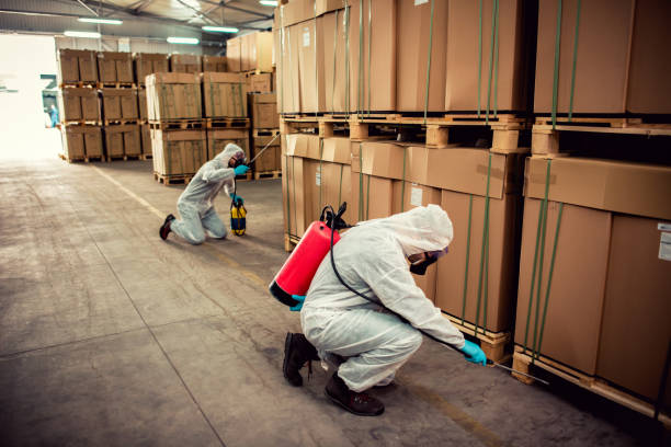 Best Bed Bug Extermination  in Lla Lla East, WA