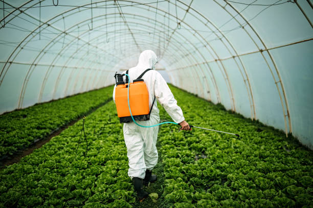 Best Affordable Pest Control Services  in Lla Lla East, WA