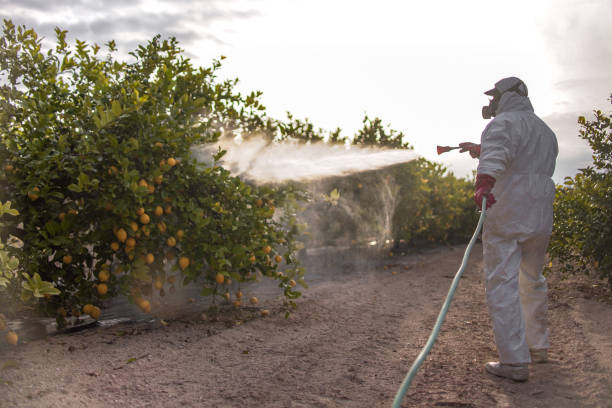 Best Affordable Pest Control Services  in Lla Lla East, WA