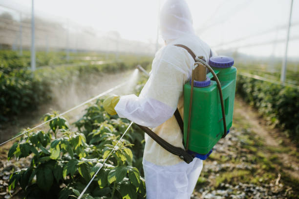 Trusted Walla Walla East, WA Pest Control Experts